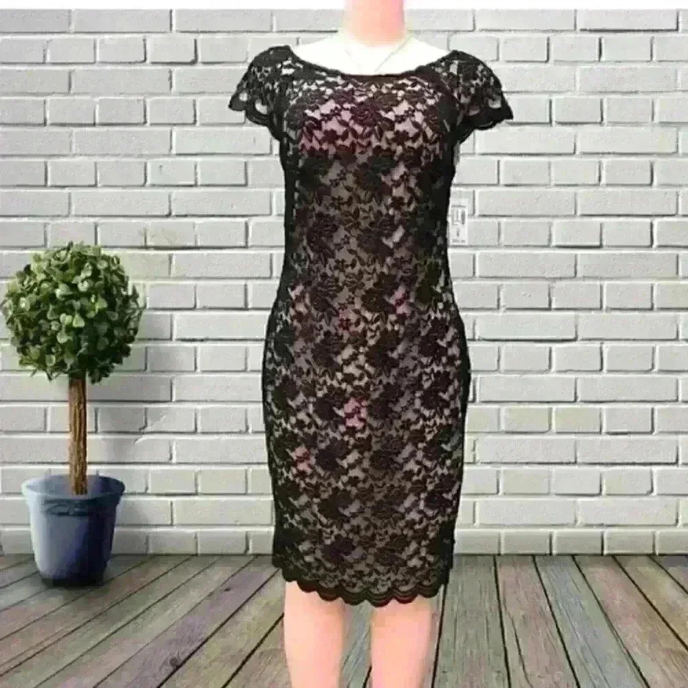 NWT Dressbarn stablished 1962 lace dress size 8